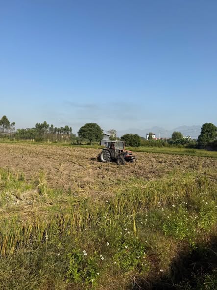 Công ty TNHH Nông Lâm Nghiệp ứng dụng CNC Bình Xuyên triển khai làm đất chuẩn bị cấy lúa vụ Đông Xuân 2026